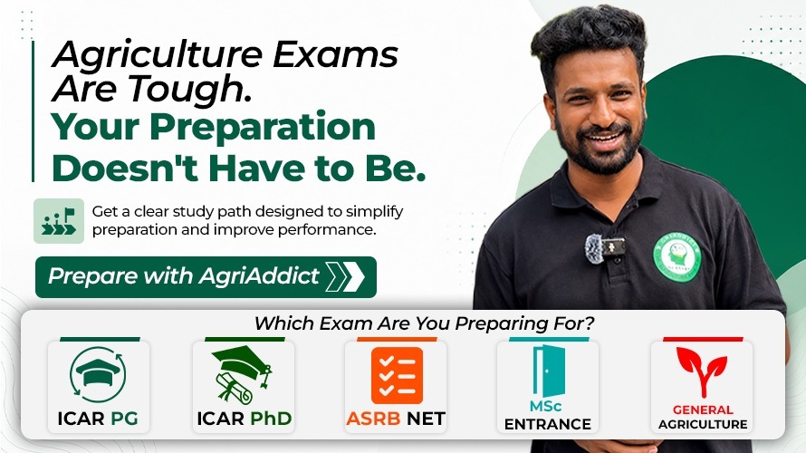 Marketing Banner