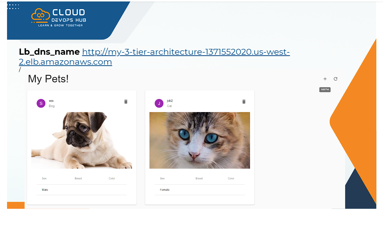 Live Web Application Running via ALB DNS Endpoint