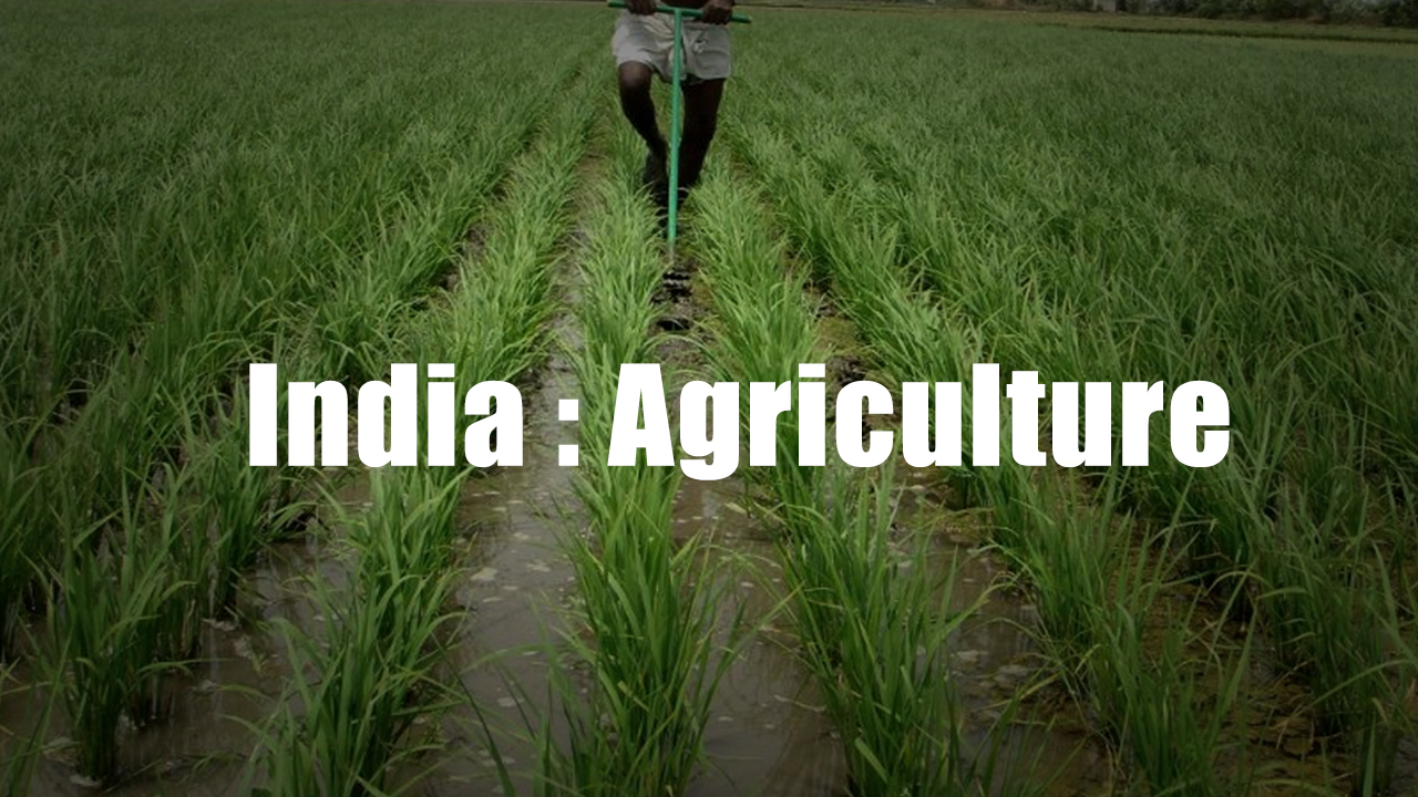 Indian Agriculture cover