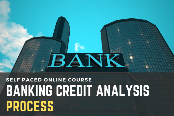 Banking Credit Analysis Process (for Bankers) cover