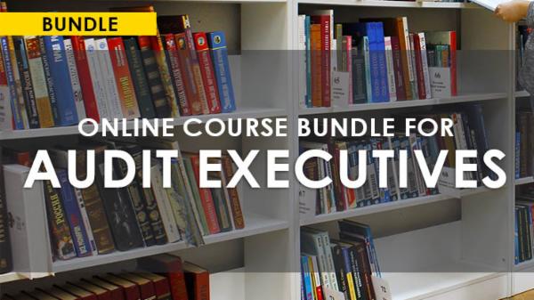 ONLINE COURSES BUNDLE FOR AUDIT EXECUTIVES cover