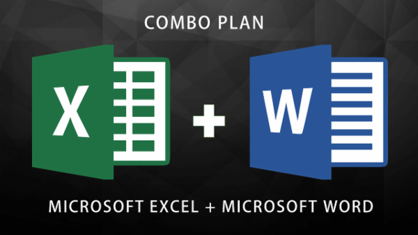 COMBO PLAN - MS Excel Expert + MS Word Expert cover