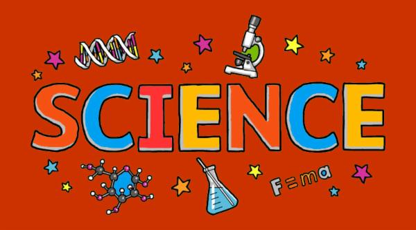 CBSE 10th Grade Science cover