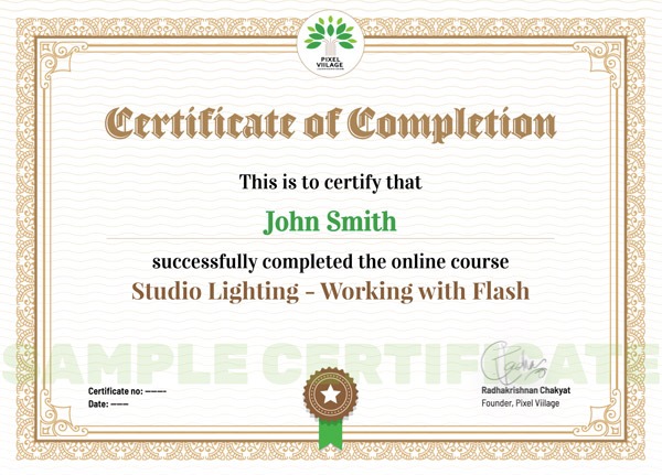 Pixel Viilage Sample Certificate