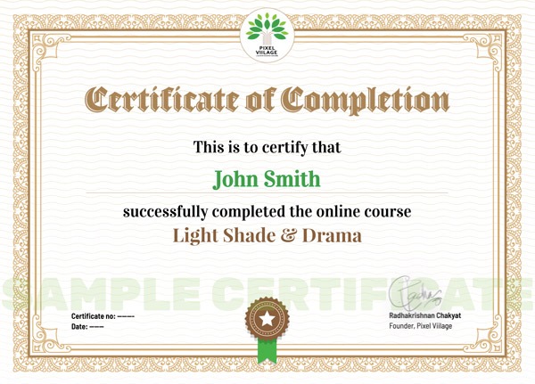 Pixel Viilage Sample Certificate