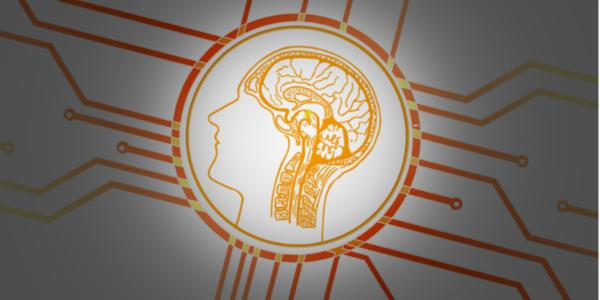 End to End Course from Statistics to Deep Learning cover