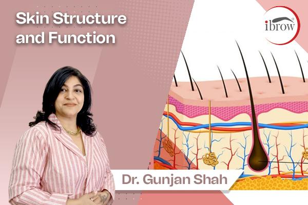 Skin structure and function cover