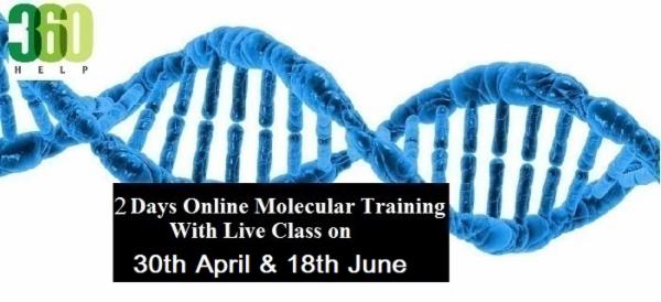 Molecular Technologies Copy cover