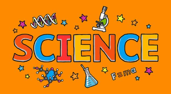 CBSE 7th Grade Science cover