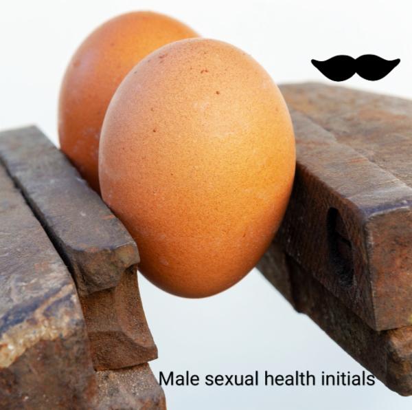 MALE HEALTH ESSENTIALS