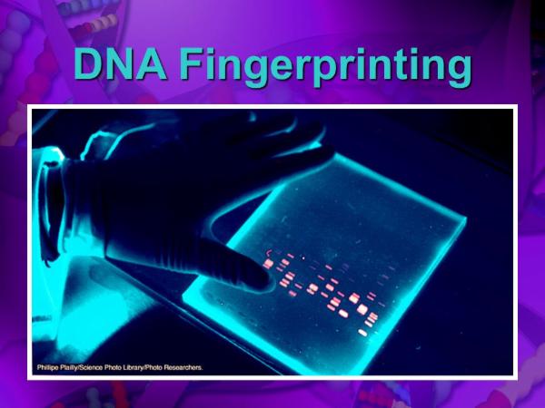 DNA Finger Printing-Free Webinar cover