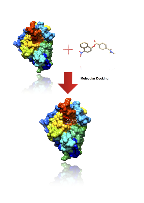 Advanced Molecular Docking- Free Webinar cover