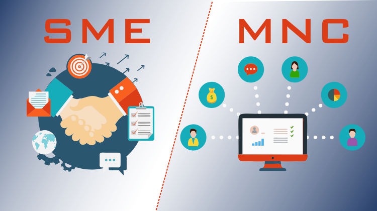 Steps for SME's to Compete with MNC's in Emerging Markets cover