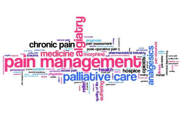 A Snapshot "Pain Management" cover