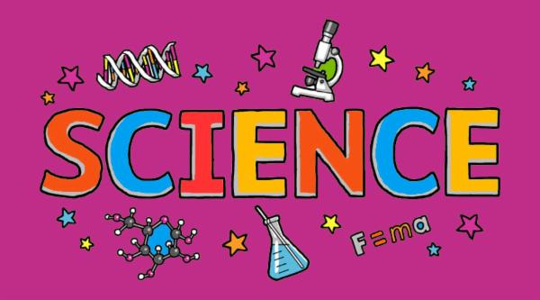 CBSE 6th Grade Science cover