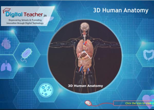 Human Anatomy cover