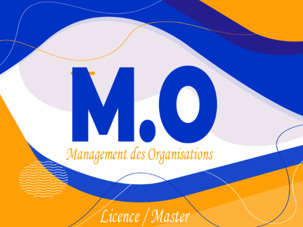 Management des Organisations cover