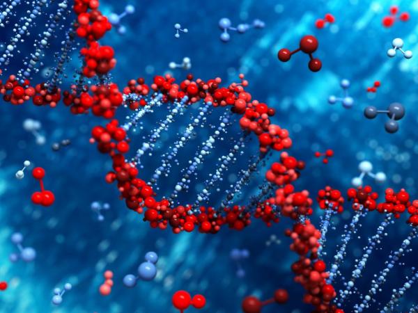 Genetic Engineering Using CRISPR Technology Course cover