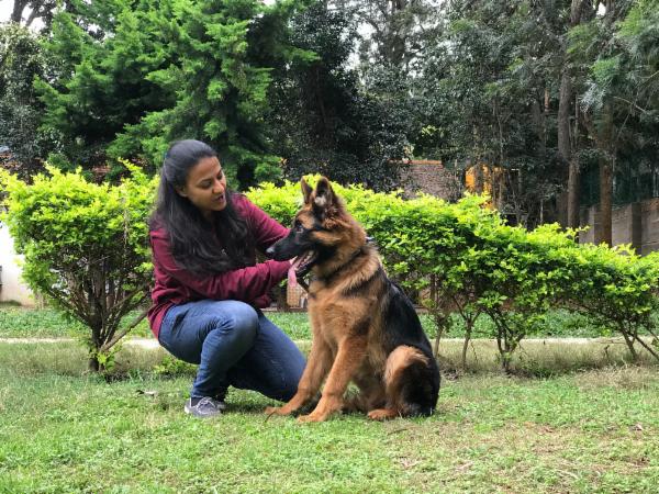 How to teach your dog to 'Sit' cover