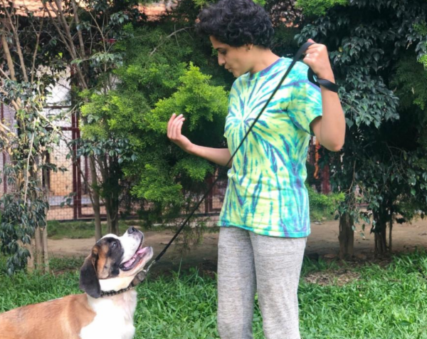 Teach your dog the 'Focus' command cover