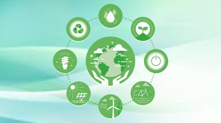 Eco-Friendly Business Ideas cover