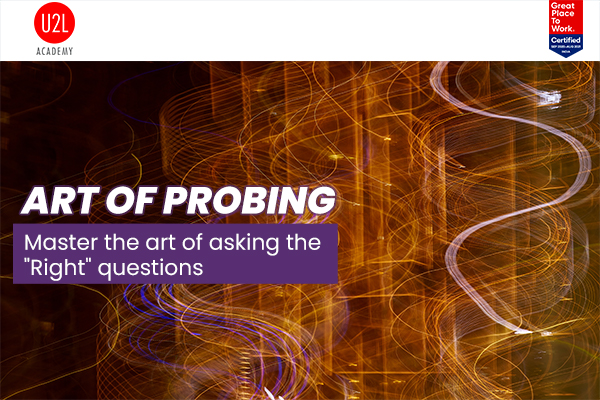 Art of Probing cover