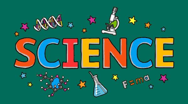 CBSE 3rd Grade Science cover