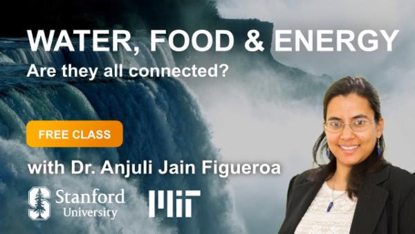 Water, Food & Energy cover