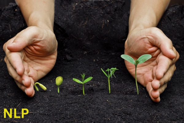 The NLP Confidence & Self Esteem Breakthrough Program cover