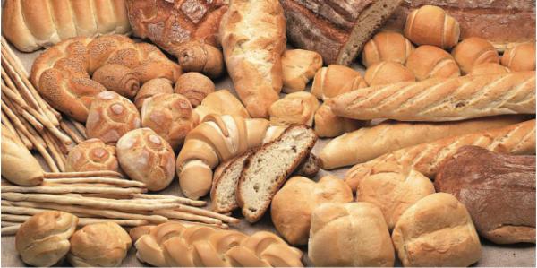 Plant Baker PH, PG, TG and FG cover