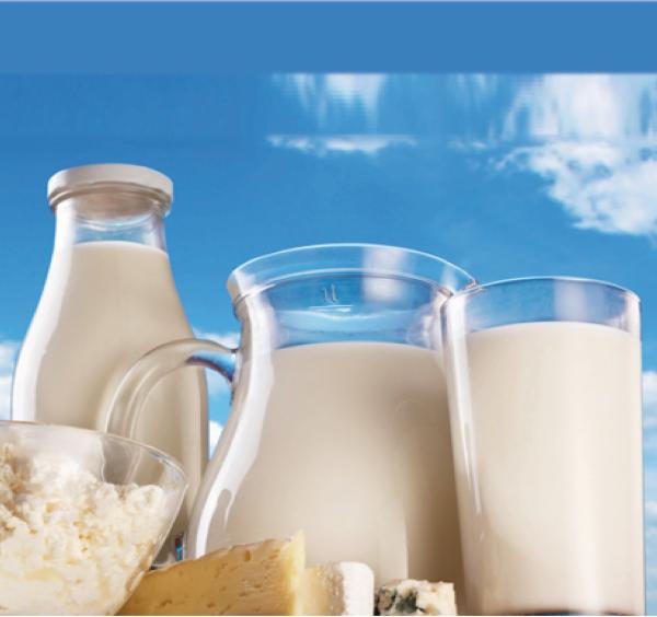 Dairy Products Processor PH, PG, TG and FG cover