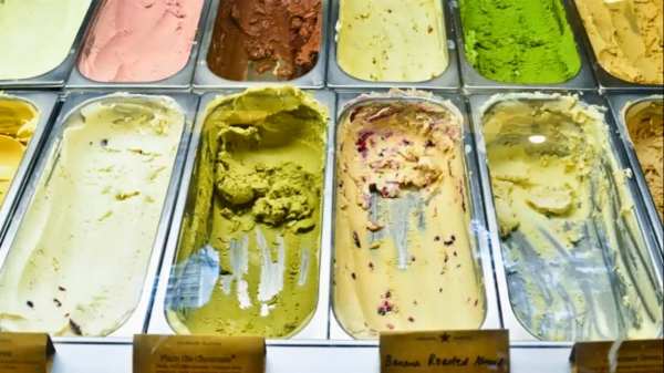 Ice Cream Processing Technician PH, PG, TG and FG cover