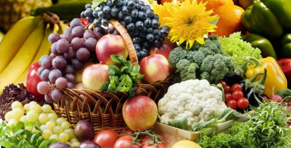 Fruit Ripening Technician PH, PG, TG and FG cover