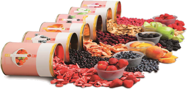 Fruits and Vegetables Drying/Dehydration Technician PH, PG, TG and FG cover