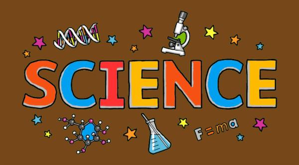 CBSE 4th Grade Science cover