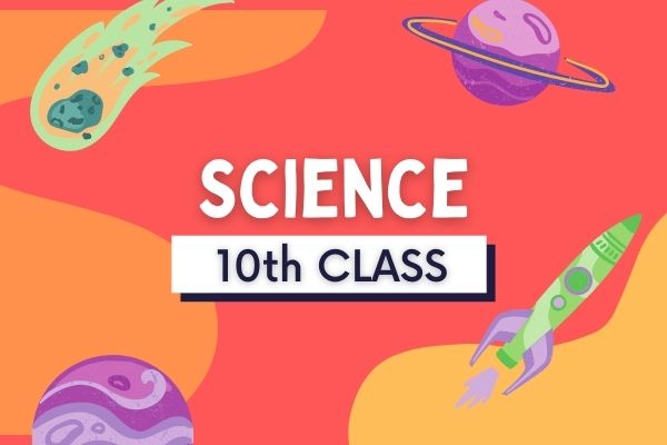 10th Science( New & Old) cover
