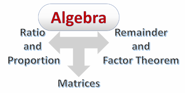 Algebra ICSE cover