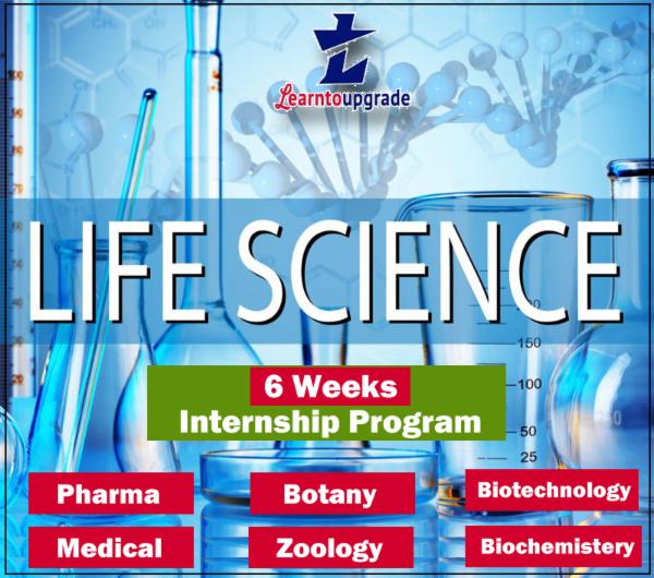 45 Days Internship Program cover