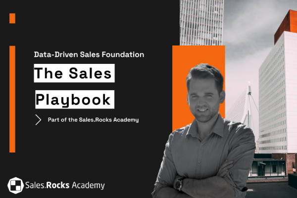 Sales.Rocks Sales Playbook cover
