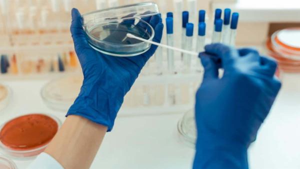 1 Month Online Internship Dissertation program cover