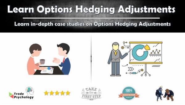 Options Hedging Adjustments cover