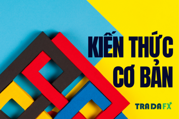 Kiến thức cơ bản cover