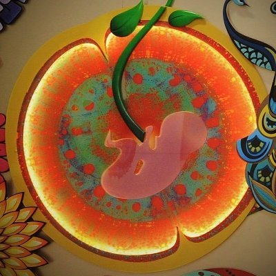 Clinical Embryology Certification Course cover