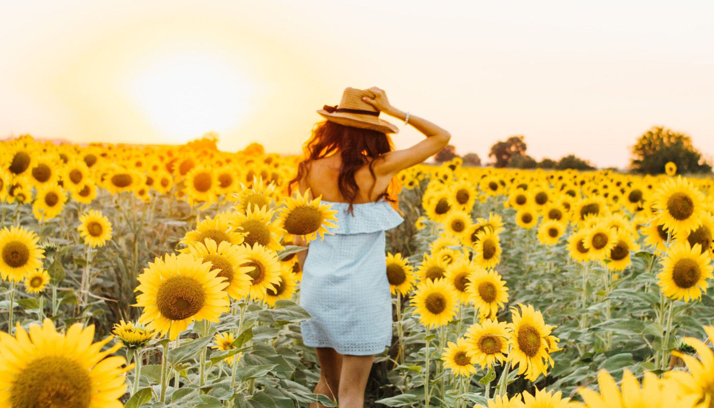 Who Am I? Level 2 course cover