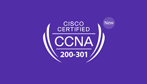 CCNA 28 August 11 to 2 cover