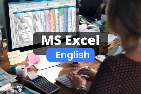 Microsoft Excel Basic to Advanced Online Course