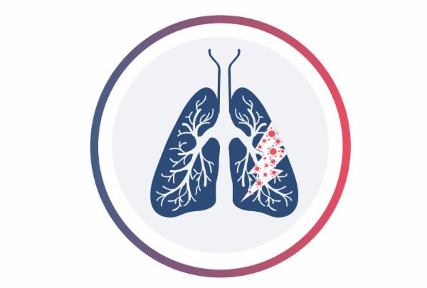 Disorders Of The Respiratory System cover