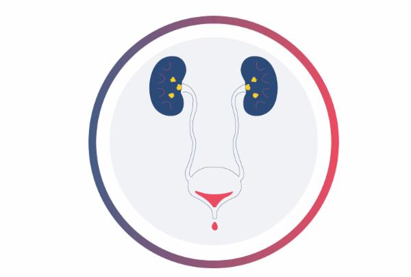 Disorders Of The Kidney & Urinary Tract cover