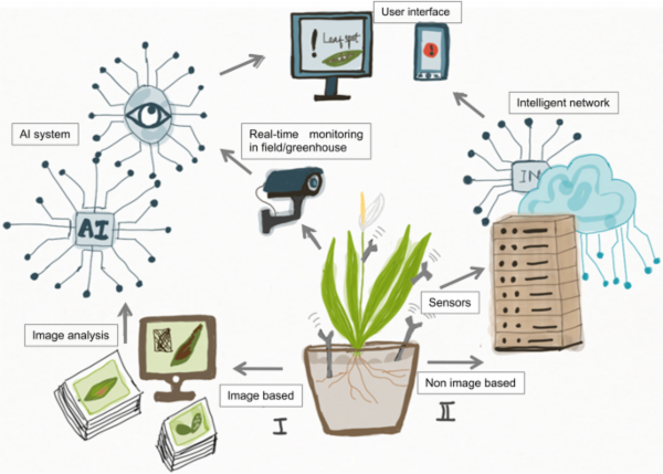 Identification of novel compound from plants and its effect against deadly disease cover