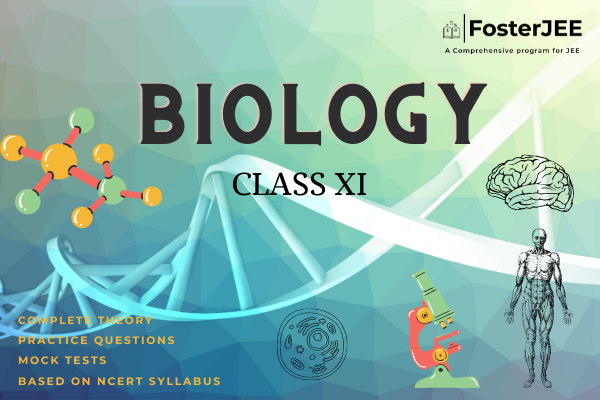 Biology CBSE Class XI cover